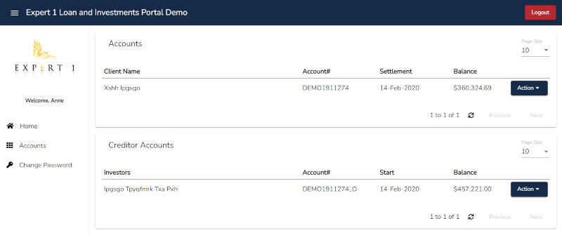 Debtor Account portal with a different theme.